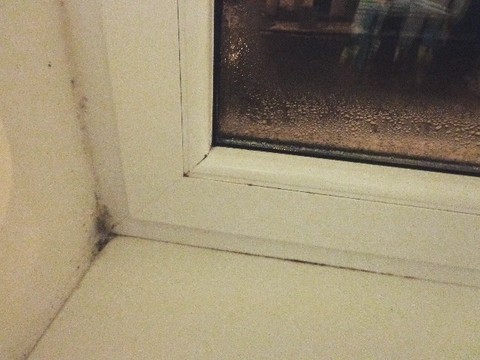 Obrzek 1: Vskyt plsn v oblasti pipojovac spry okenn vpln a kondenzt na jeho povrchu [4]