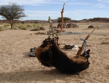 Obr. 14 – Kožený vak ze stažené kozy udržuje chladnou vodu i na poušti