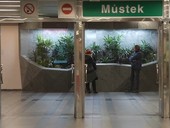 Prostor pro iv rostliny Metrorost v prostoru metra ve stanici Mstek, foto redakce